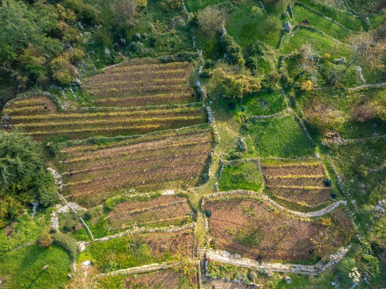 Natječaj LAG-a Terra liburna: Povećanje konkurentnosti poljoprivrednih gospodarstava i razvoj prepoznatljivih poljoprivrednih proizvoda